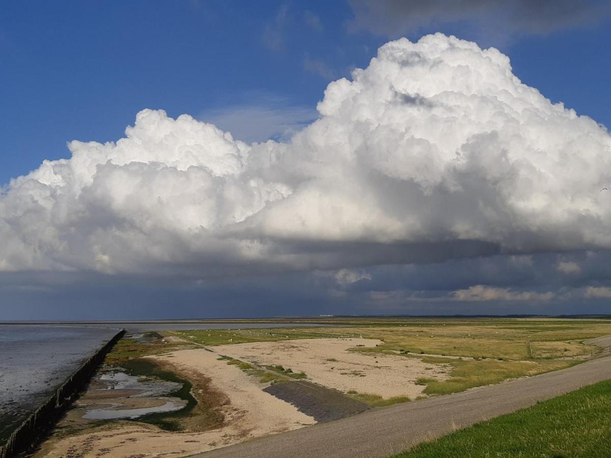 Waddenfestijn Villa Paesens Bagian luar foto