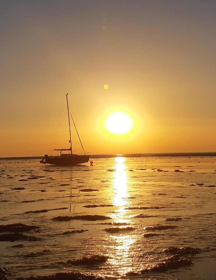 Waddenfestijn Villa Paesens Bagian luar foto