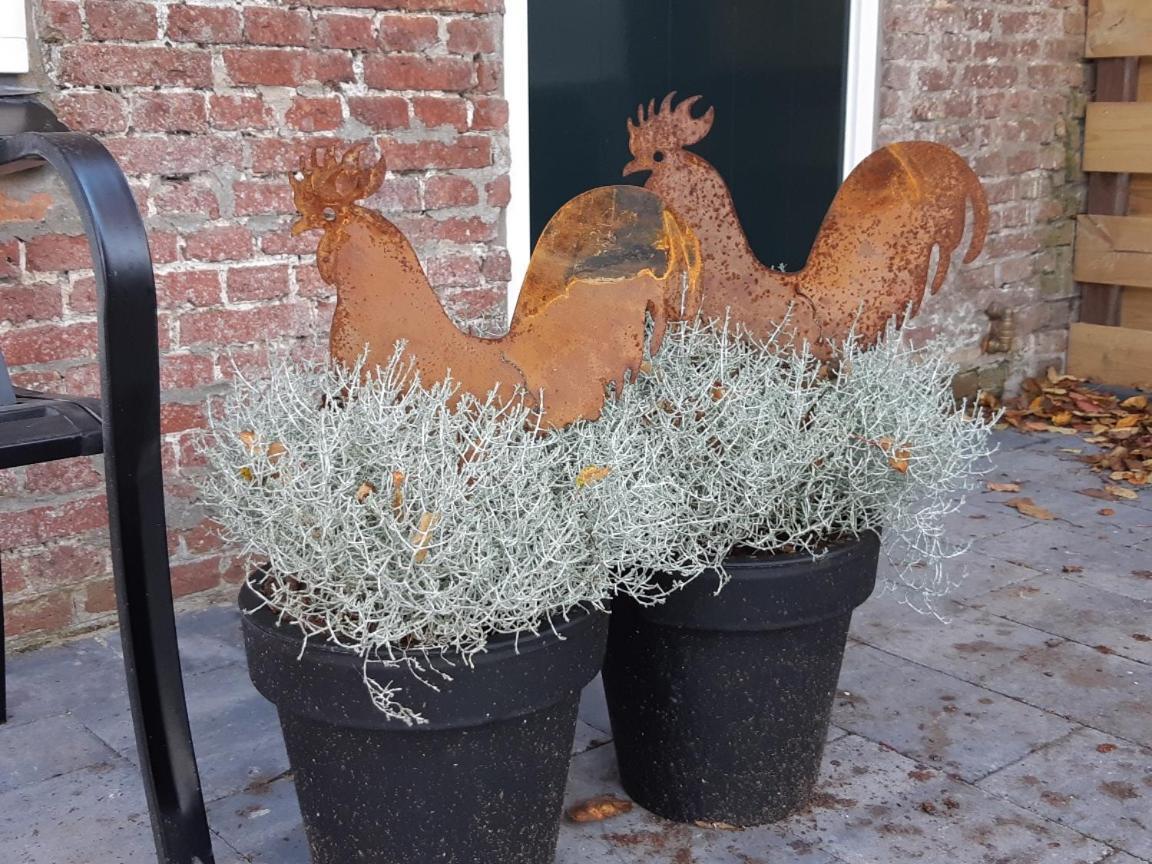 Waddenfestijn Villa Paesens Bagian luar foto
